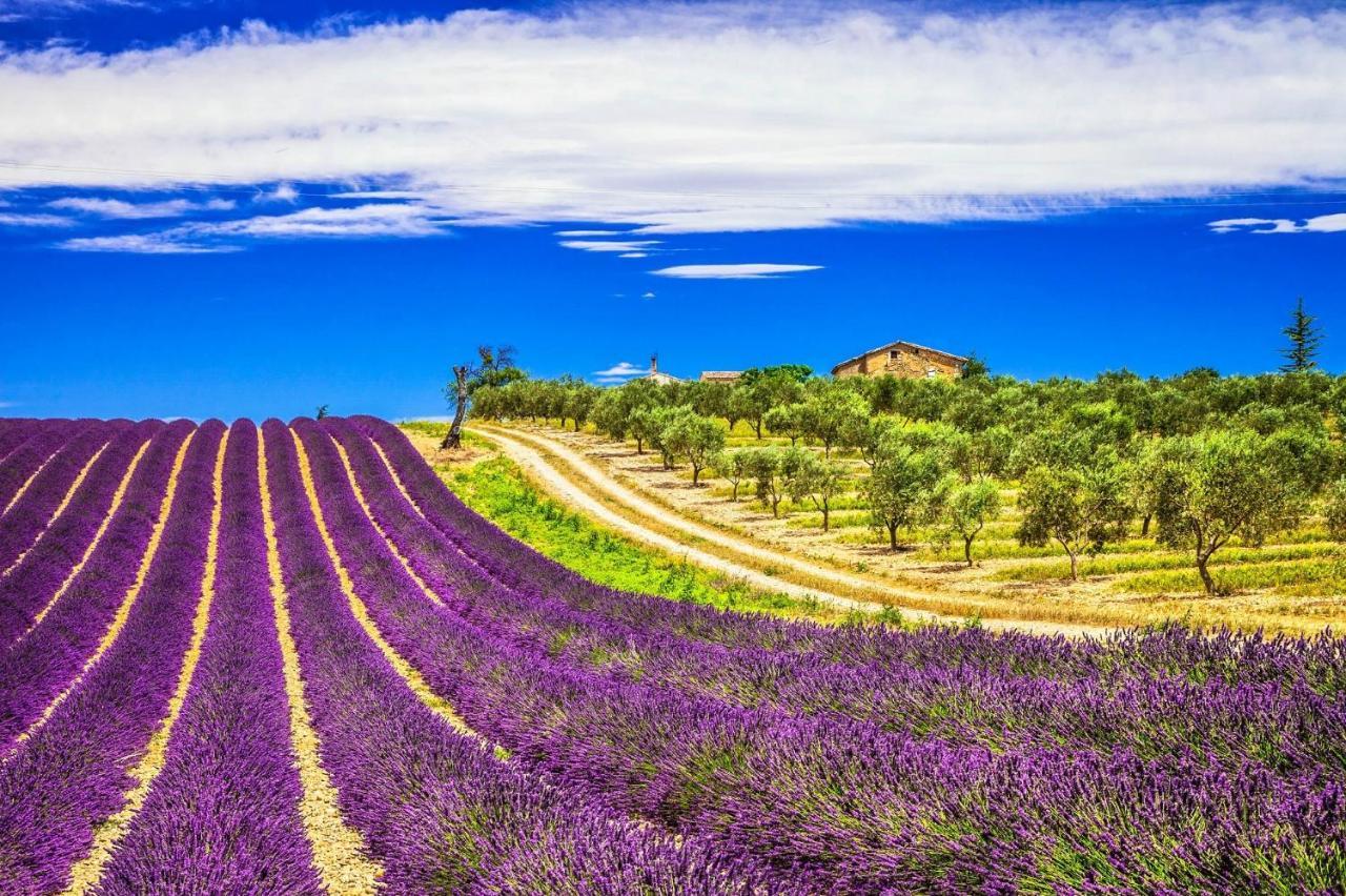La Maison Des Collines Allemagne-en-Provence Eksteriør bilde